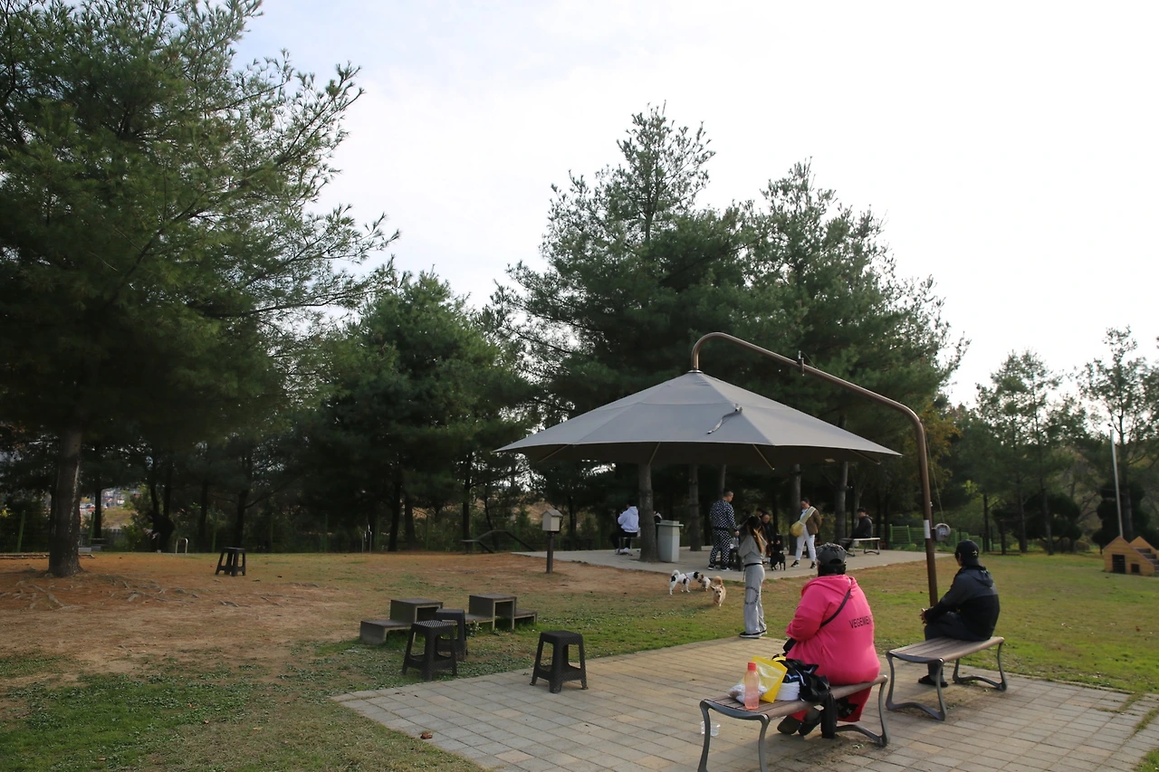 MG0A9696_новый размер.JPG