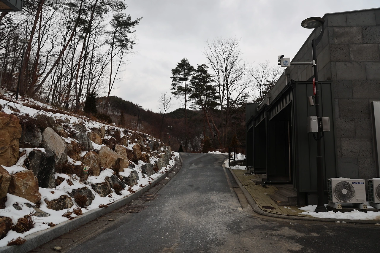 0R5A1708_новый размер.JPG