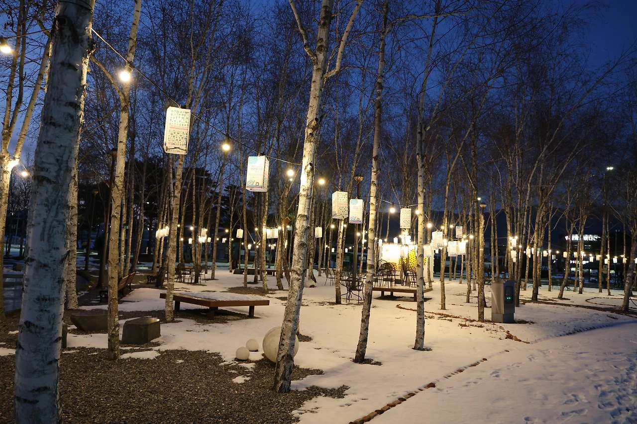 0R5A8280_новый размер.JPG