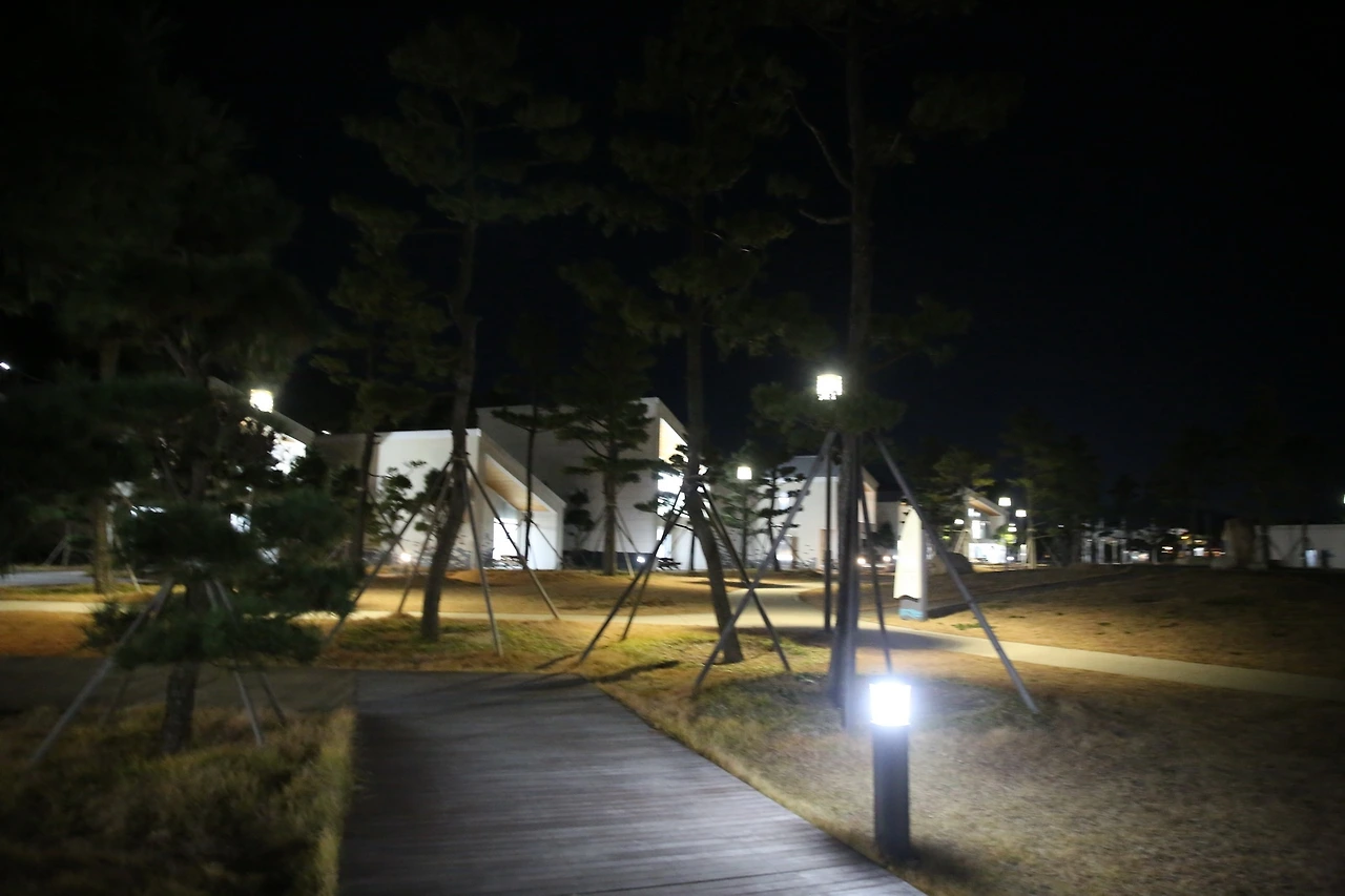 MG0A2397_новый размер.JPG