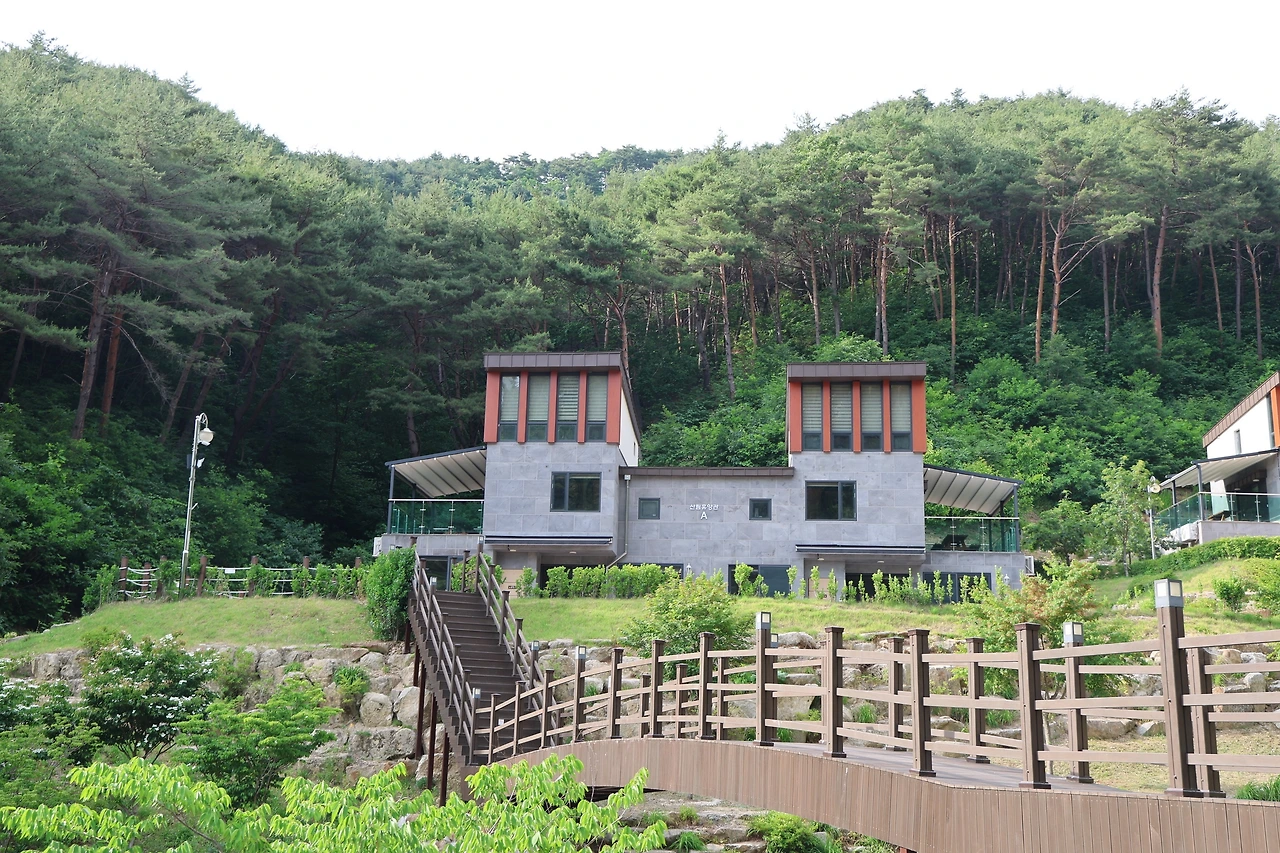 0R5A5418_новый размер.JPG