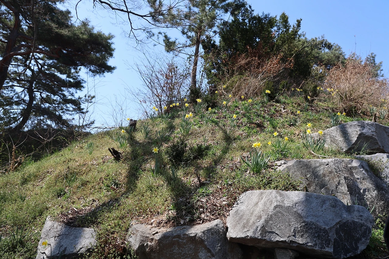 0R5A5908_новый размер.JPG