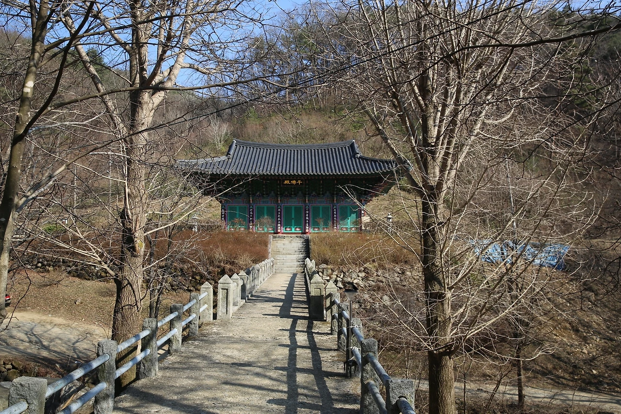 MG0A4403_новый размер.JPG