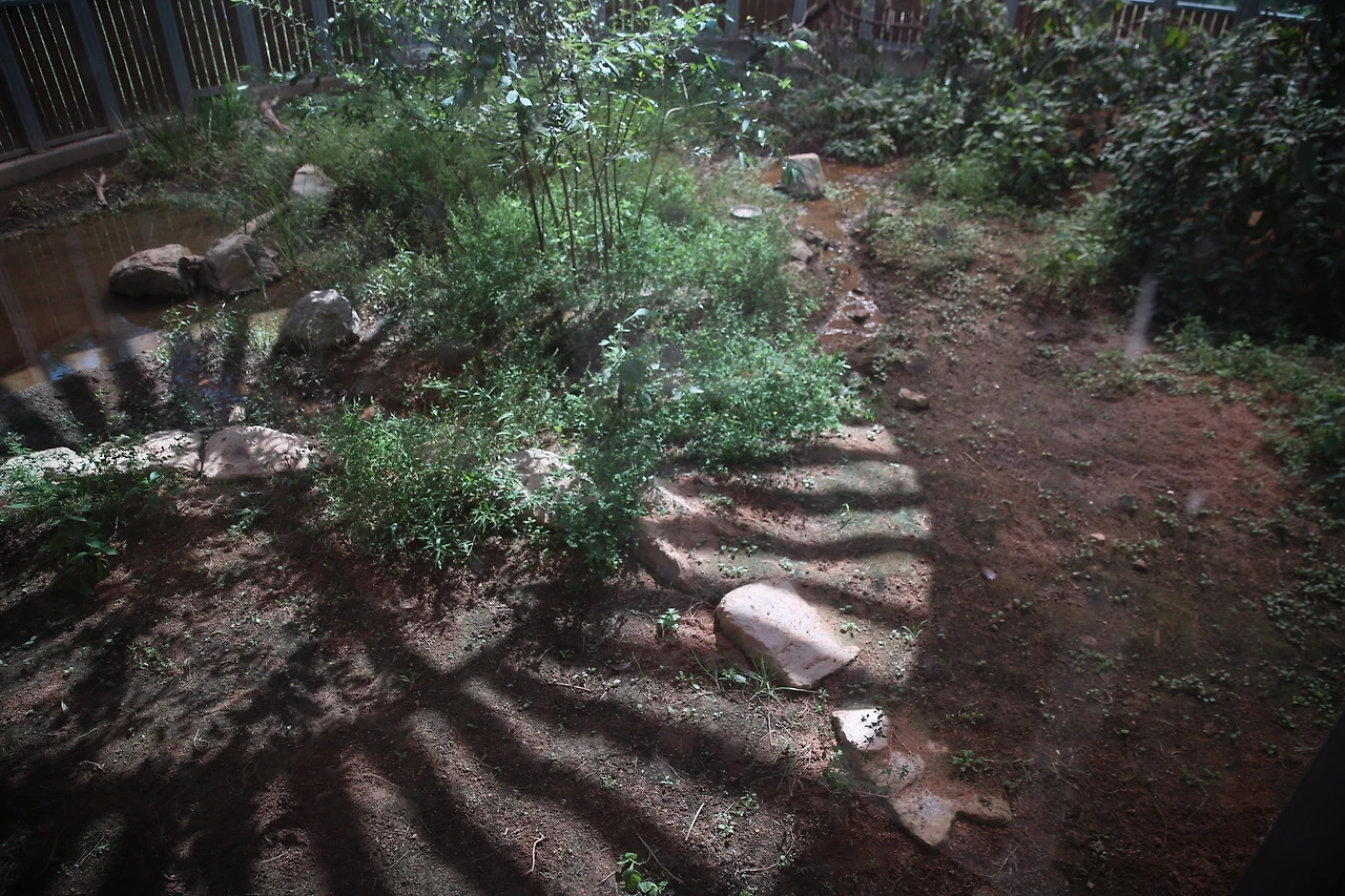 MG0A0038_новый размер.JPG