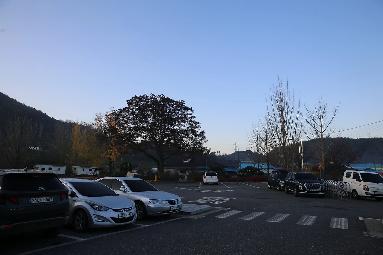 MG0A0620_новый размер.JPG