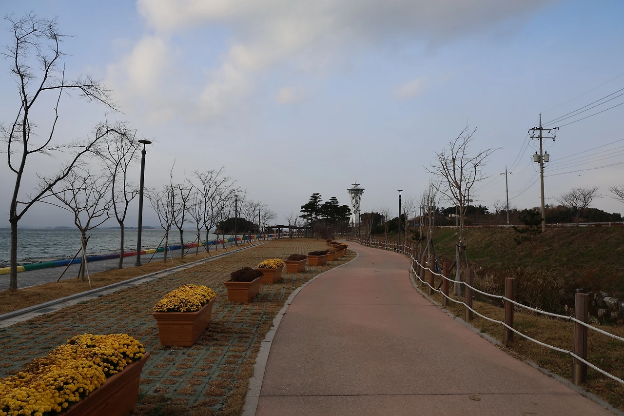 0R5A5290_новый размер.JPG