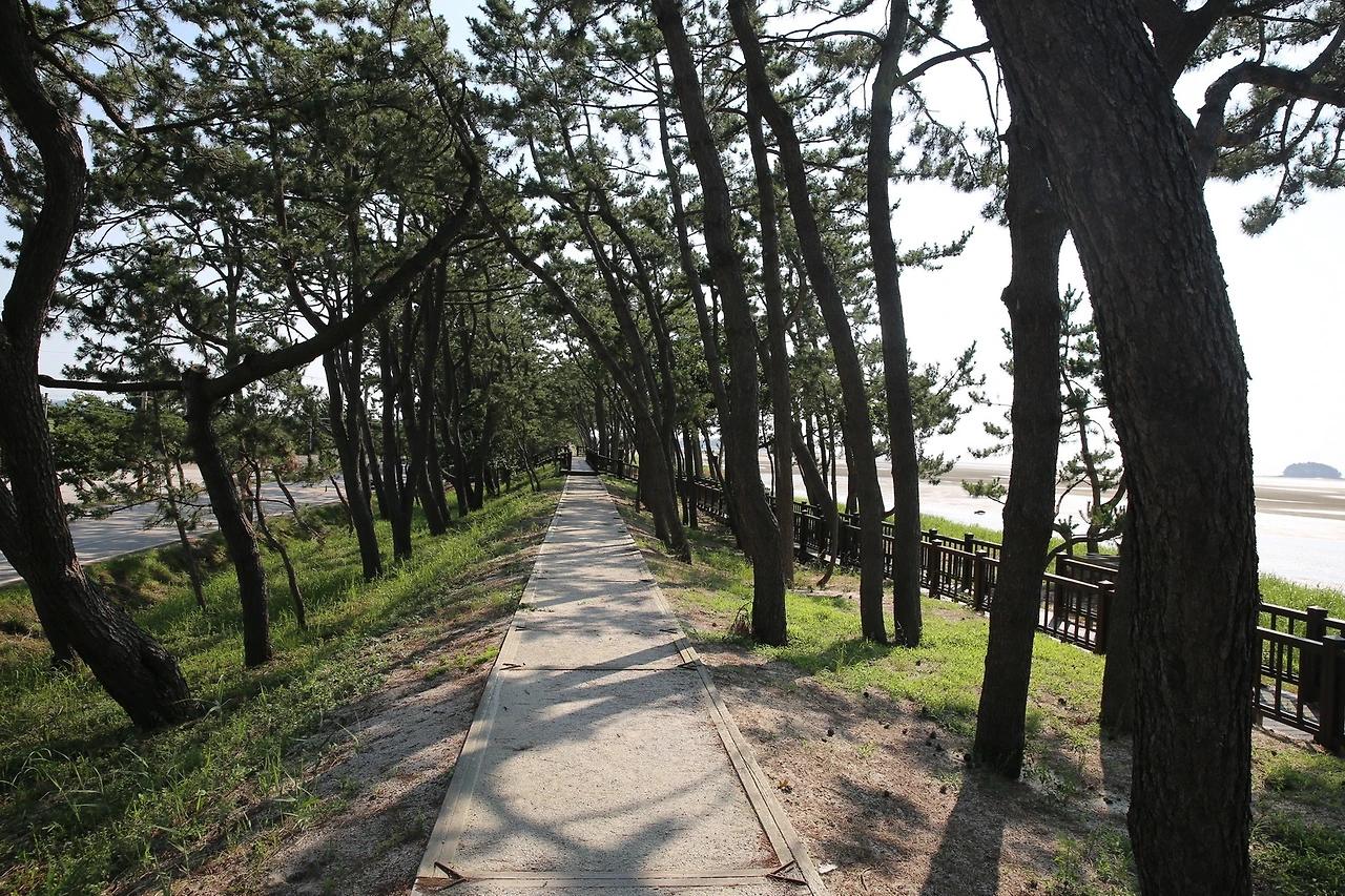 MG0A4622_новый размер.JPG