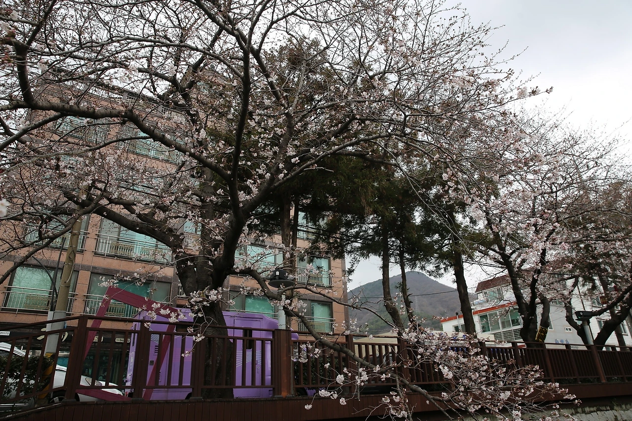 MG0A6180_новый размер.JPG