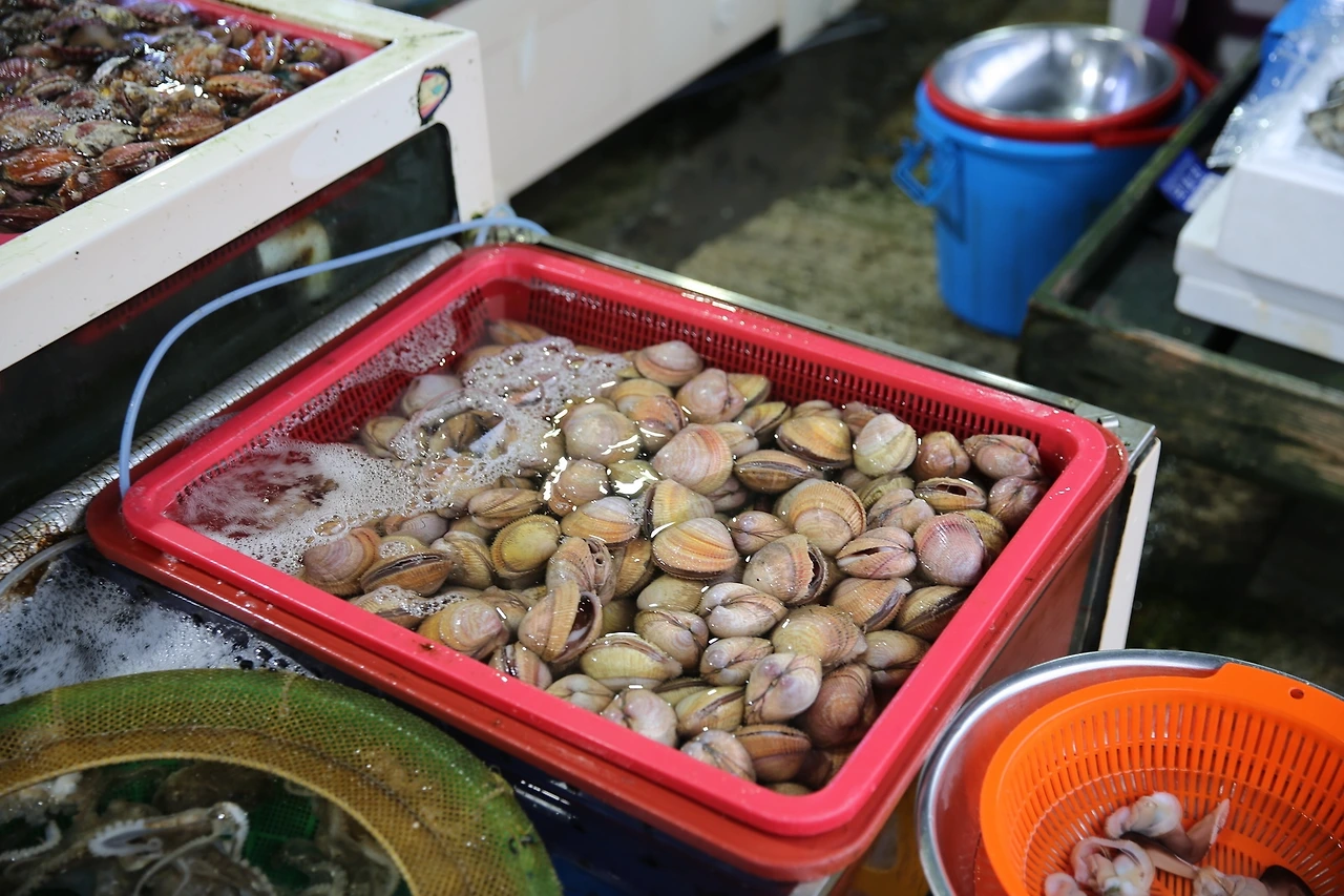 MG0A0888_новый размер.JPG