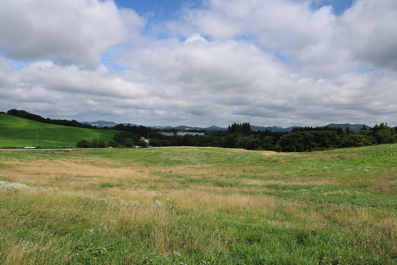 0R5A7210_новый размер.JPG