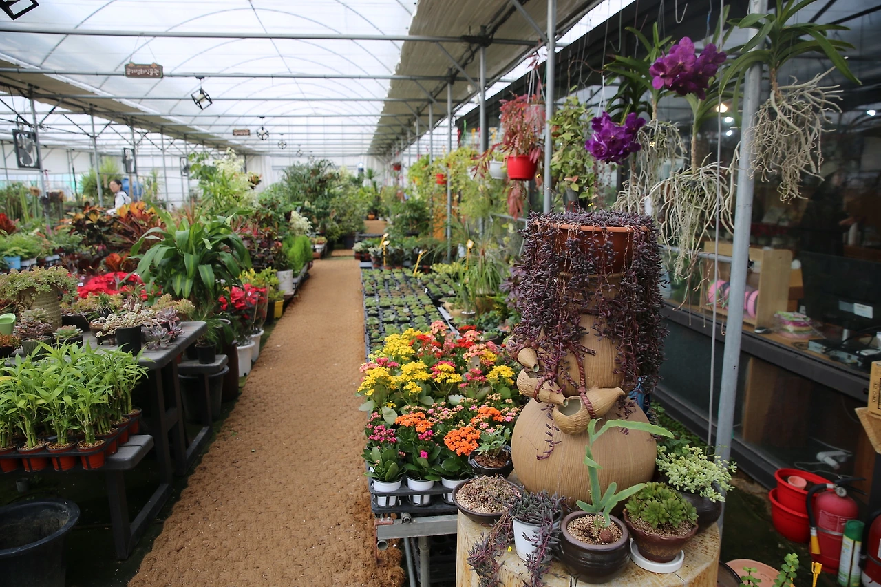 MG0A0648_новый размер.JPG