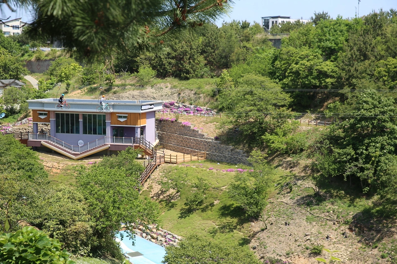 MG0A0186_новый размер.JPG