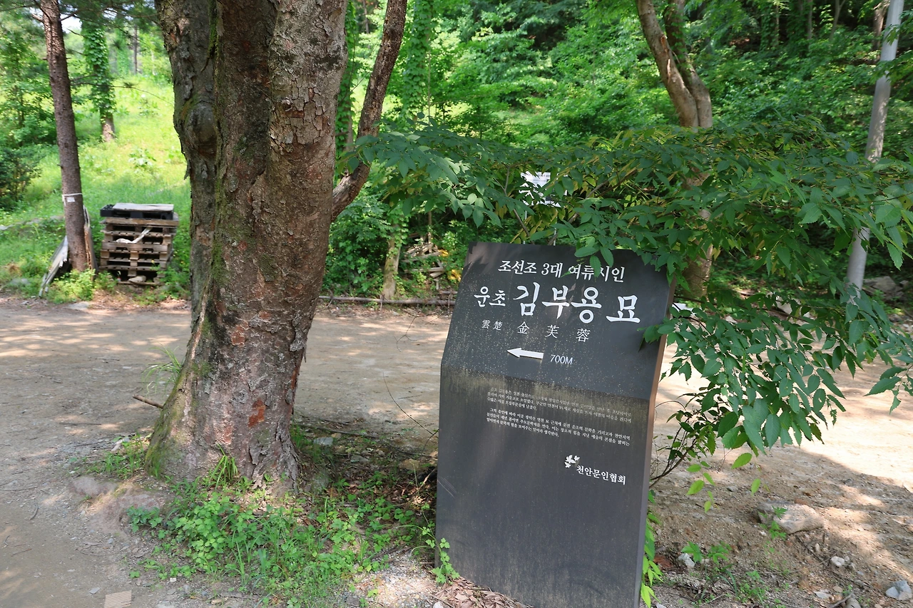 0R5A3213_новый размер.JPG