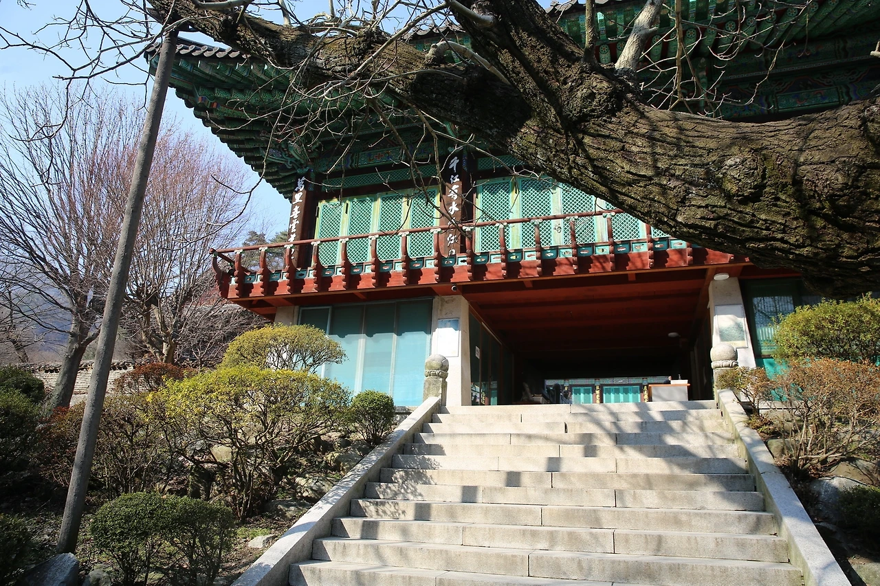 MG0A4391_новый размер.JPG