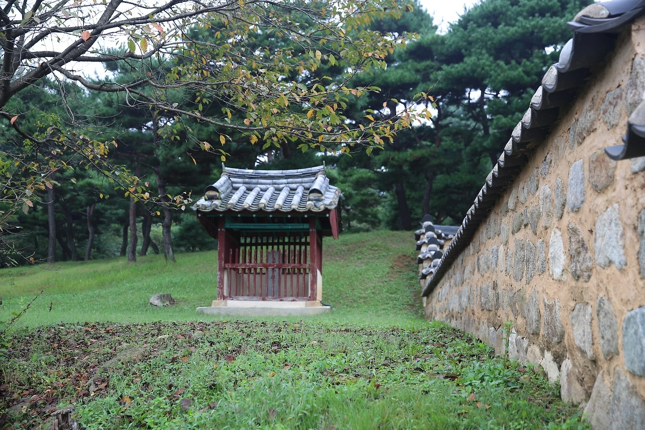 MG0A3562_новый размер.JPG