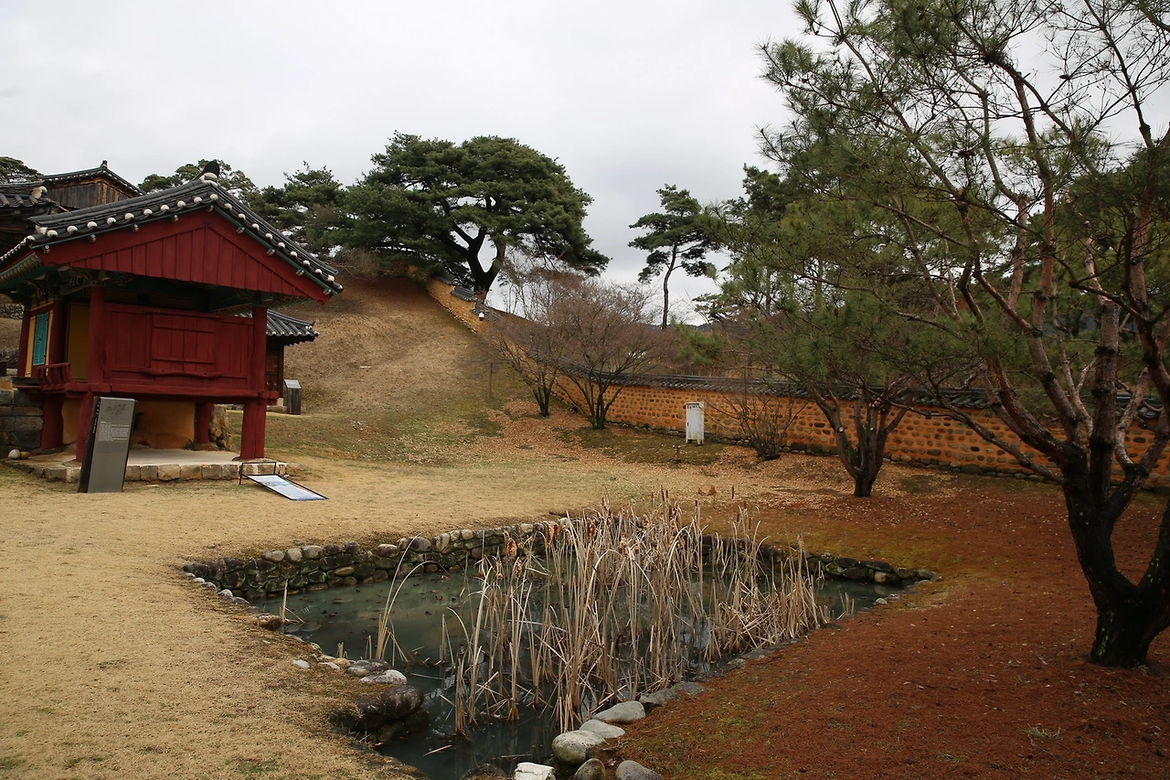 MG0A0461_новый размер.JPG