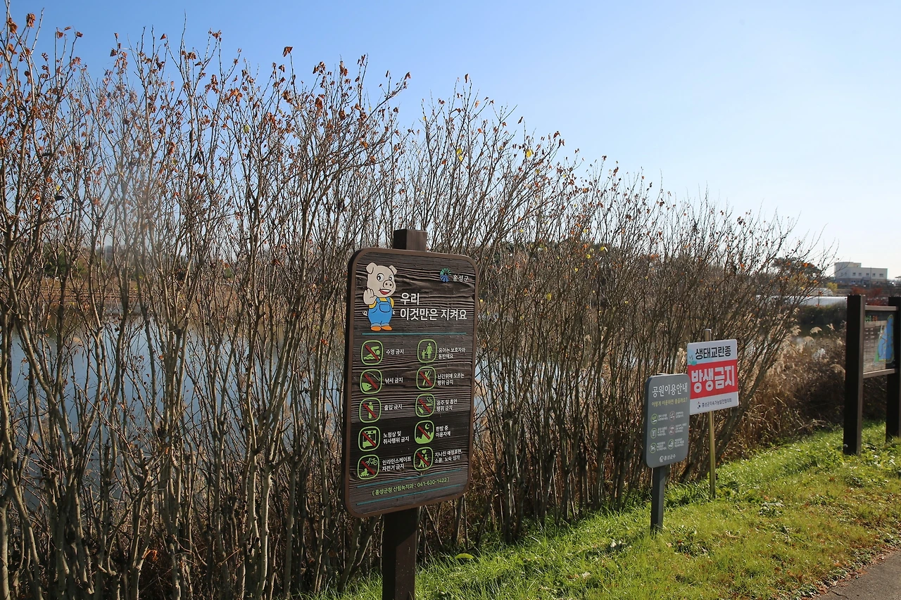 MG0A2715_новый размер.JPG