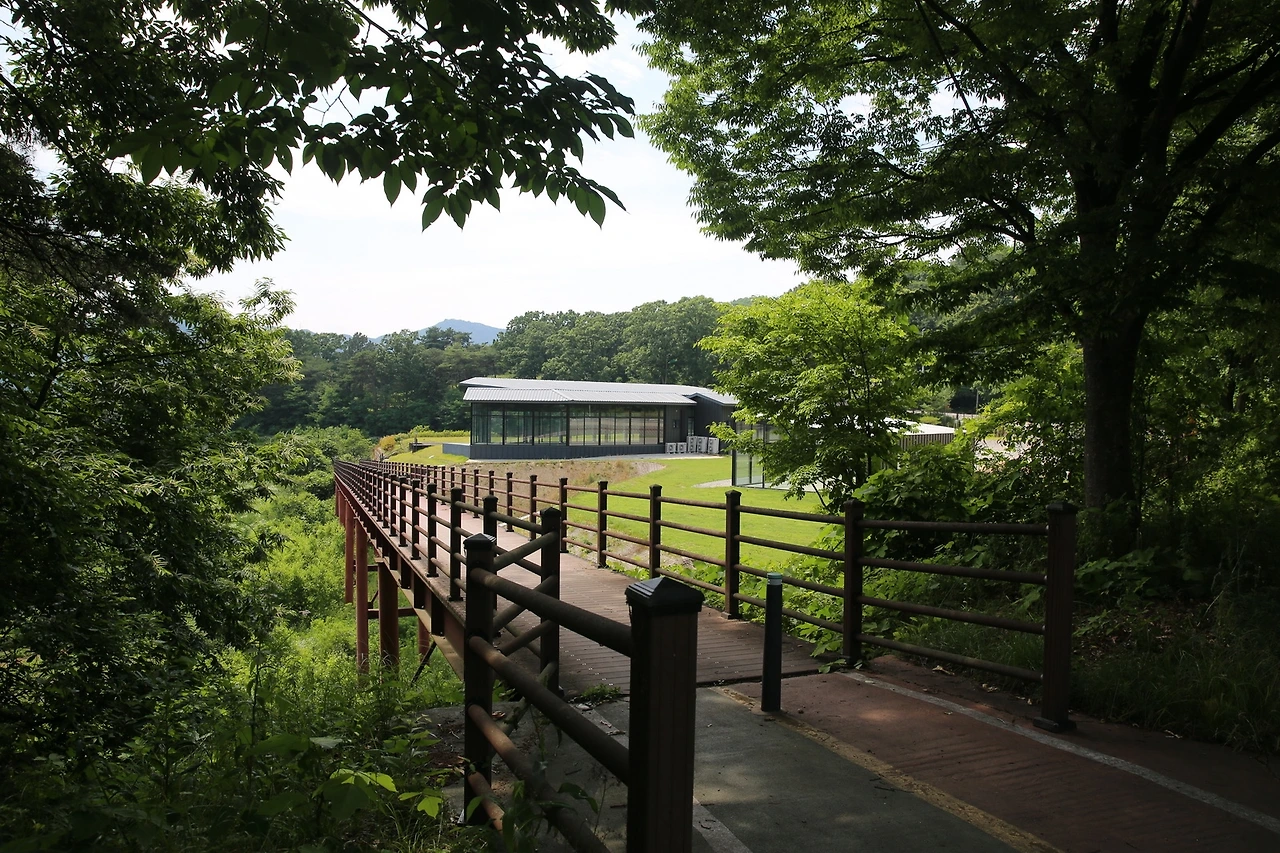 MG0A2167_новый размер.JPG