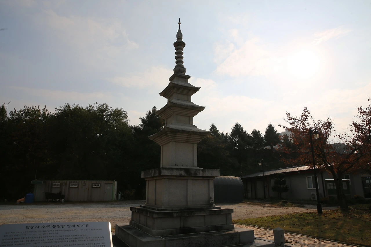 MG0A7597_новый размер.JPG