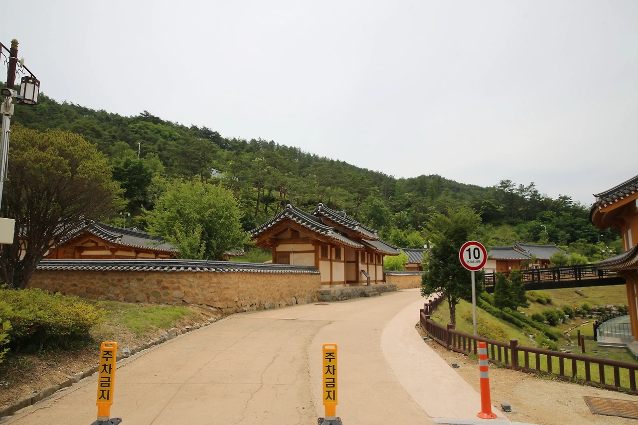 MG0A8598_новый размер.JPG