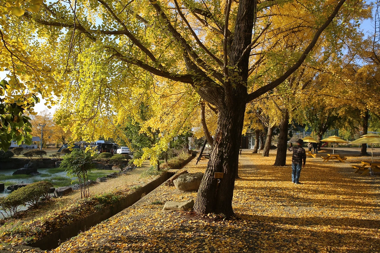 MG0A9381_новый размер.JPG