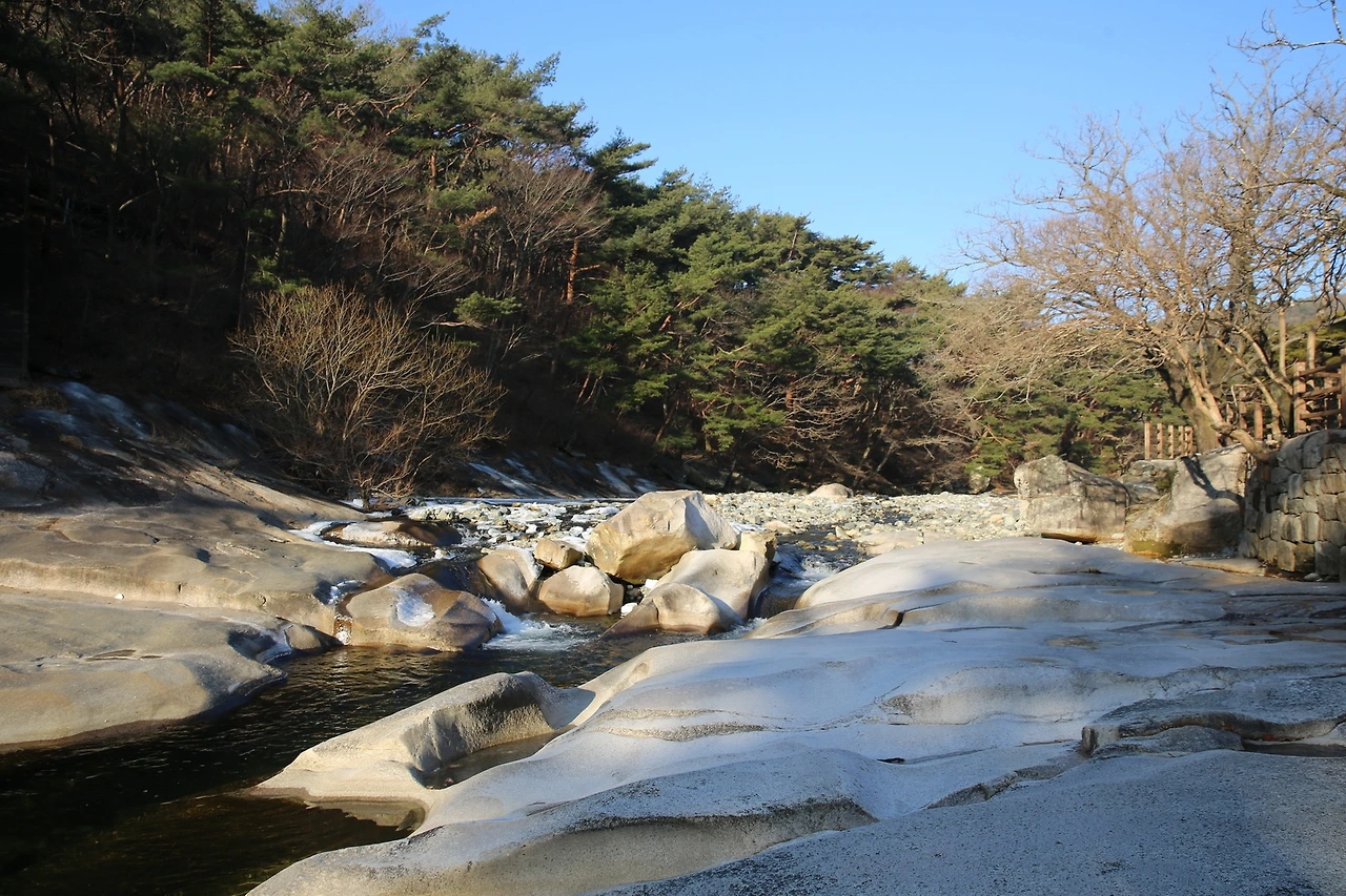 MG0A7636_новый размер.JPG