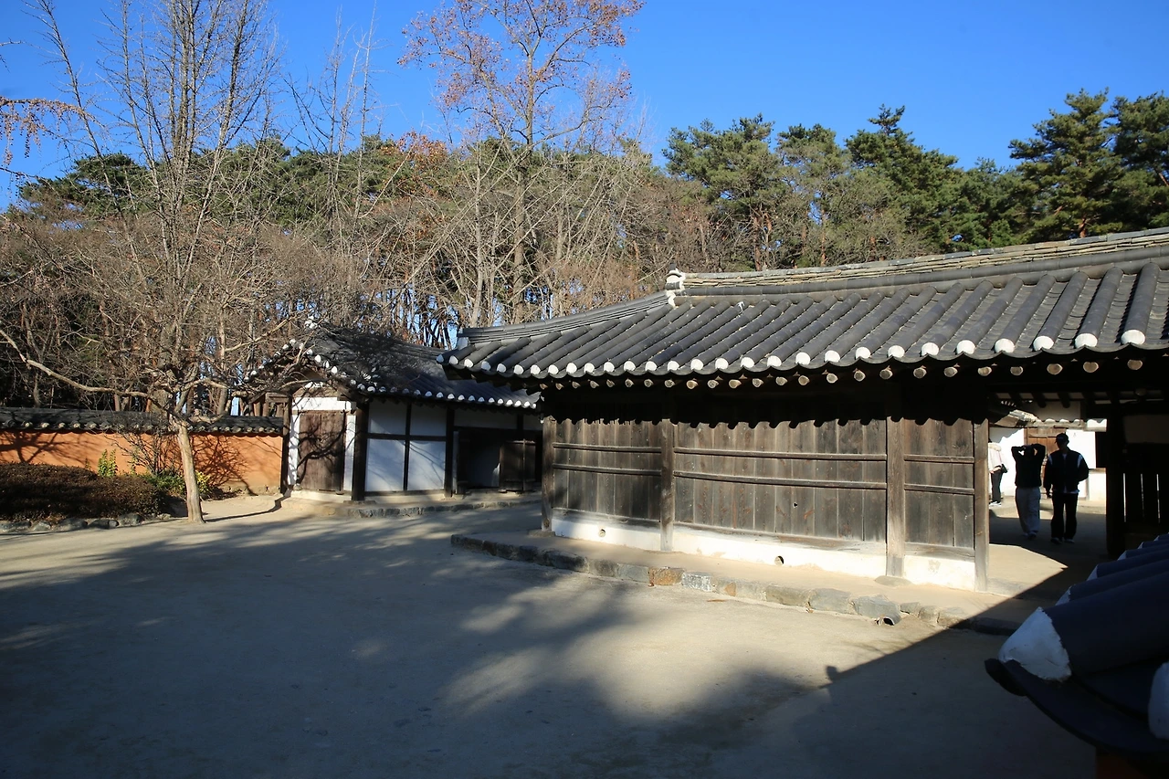 MG0A2247_новый размер.JPG