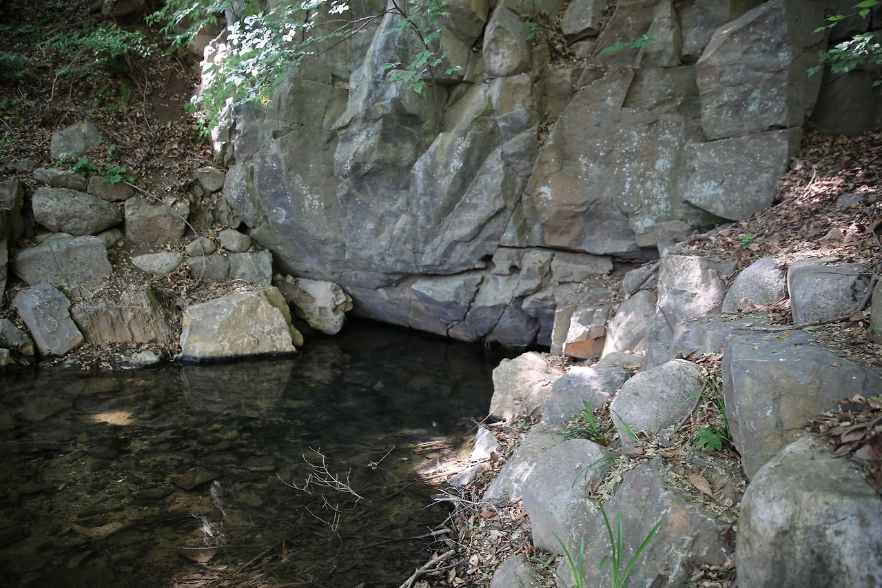 MG0A0075_новый размер.JPG