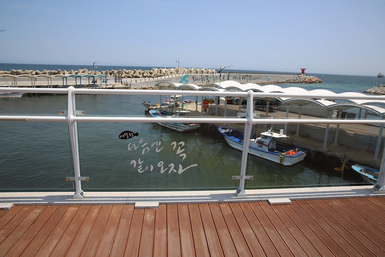 MG0A0276_новый размер.JPG