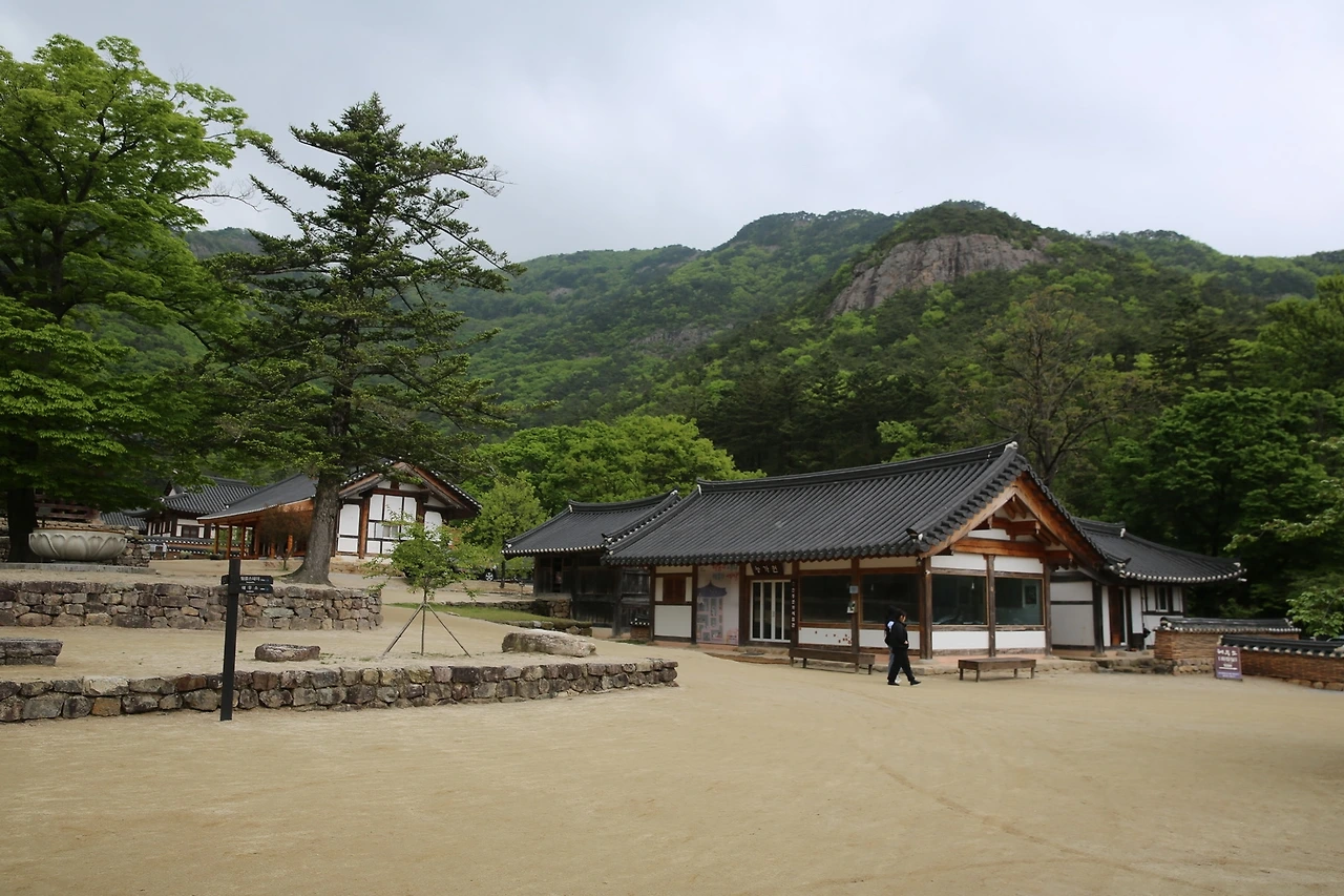 MG0A0596_новый размер.JPG