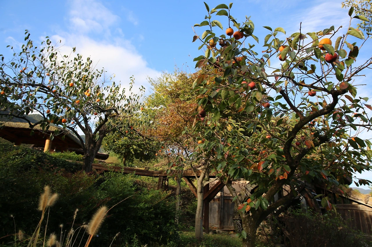 MG0A7979_новый размер.JPG