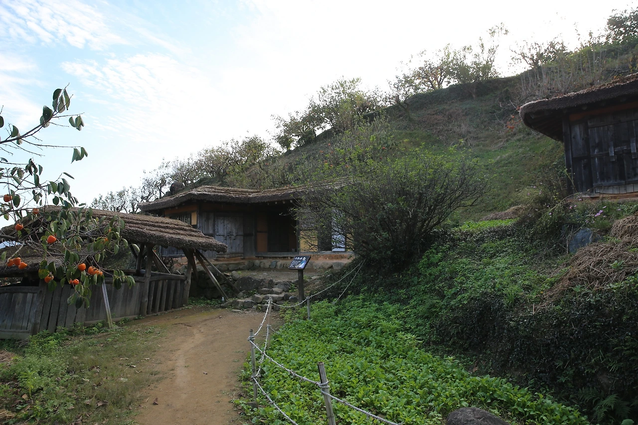 MG0A7984_новый размер.JPG