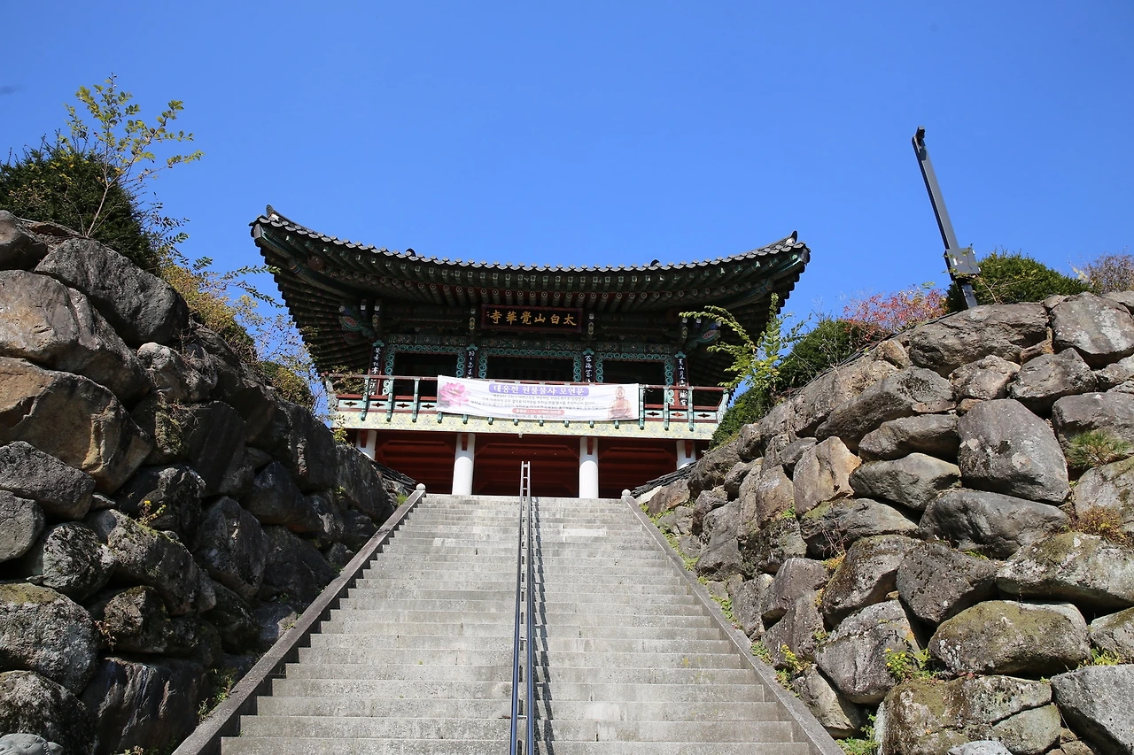 MG0A8225_новый размер.JPG