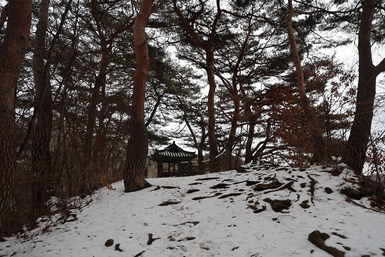 0R5A1723_новый размер.JPG