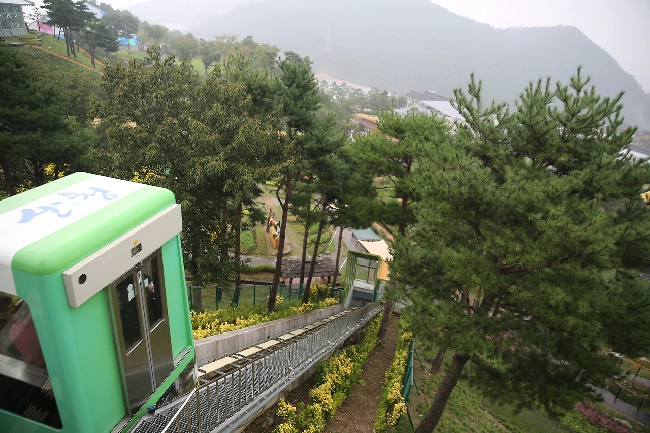 MG0A3070_новый размер.JPG