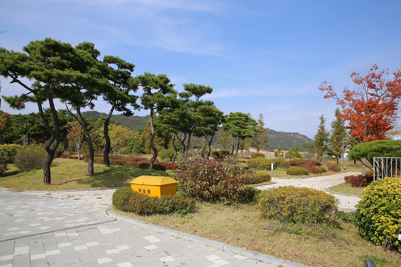 MG0A7309_новый размер.JPG