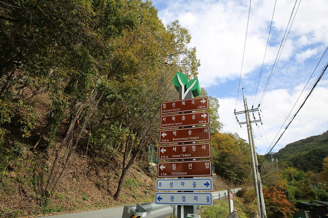 MG0A7853_новый размер.JPG