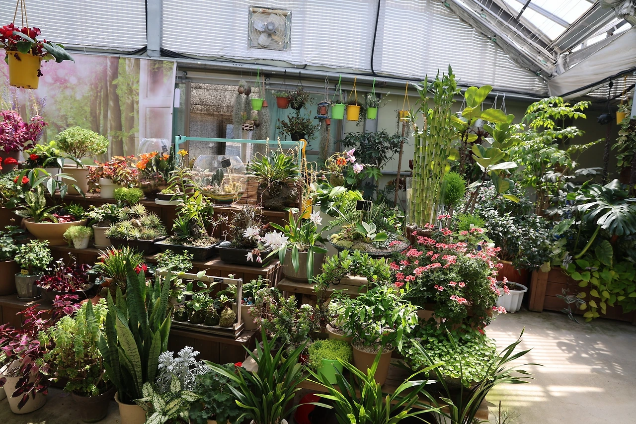 0R5A5896_новый размер.JPG