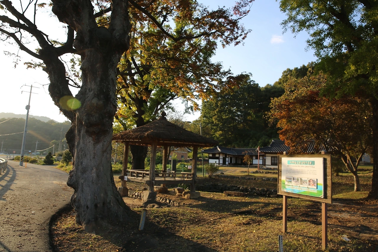 MG0A6664_новый размер.JPG