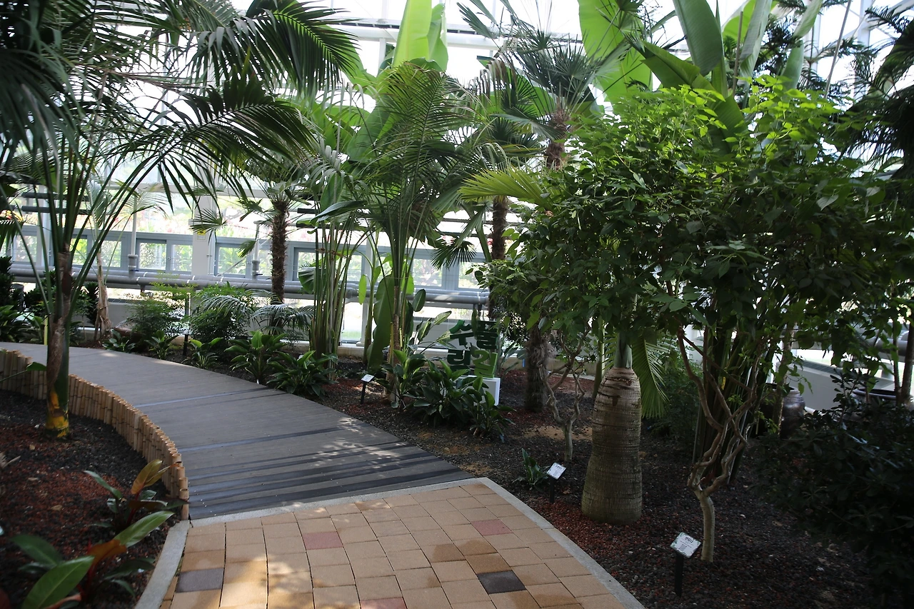 MG0A0441_новый размер.JPG