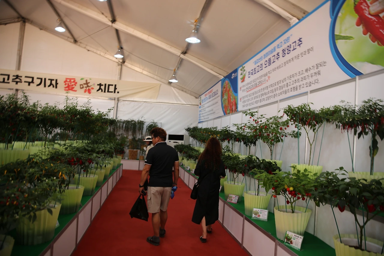 MG0A9308_новый размер.JPG