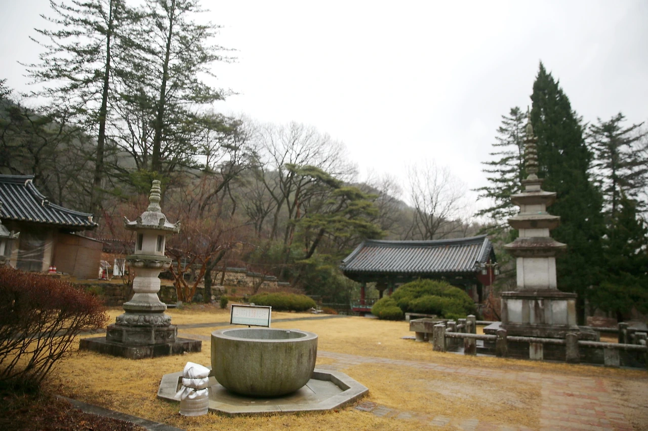 MG0A2304_новый размер_exposure.JPG