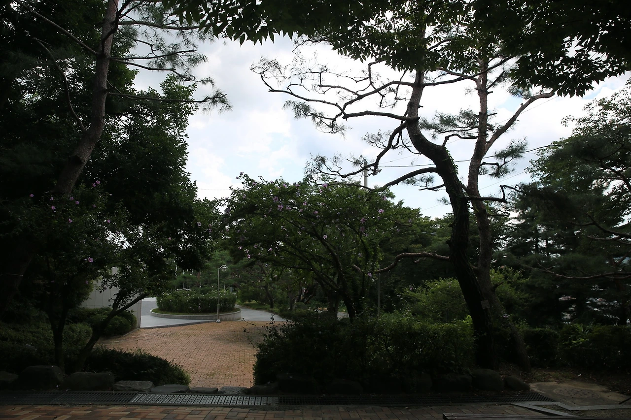 MG0A7841_новый размер.JPG