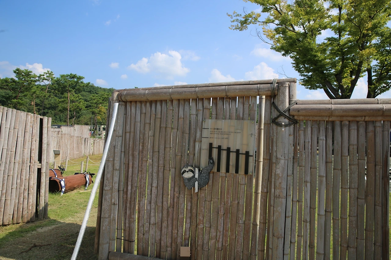 MG0A0405_новый размер.JPG