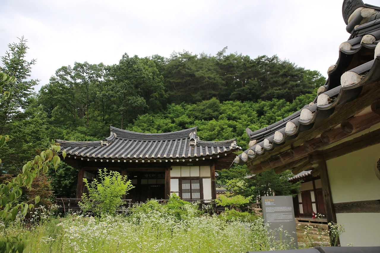 MG0A0419_новый размер.JPG