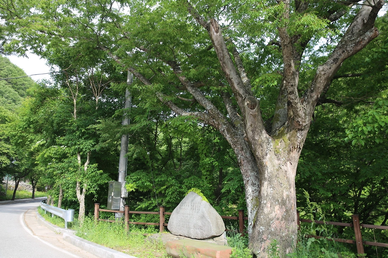 MG0A9877_новый размер.JPG