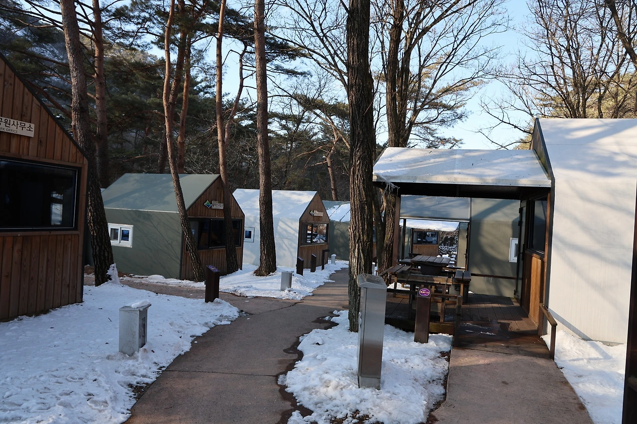 0R5A8135_новый размер.JPG