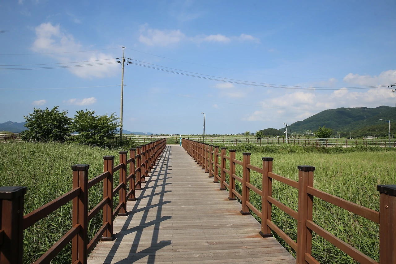 MG0A4606_новый размер.JPG