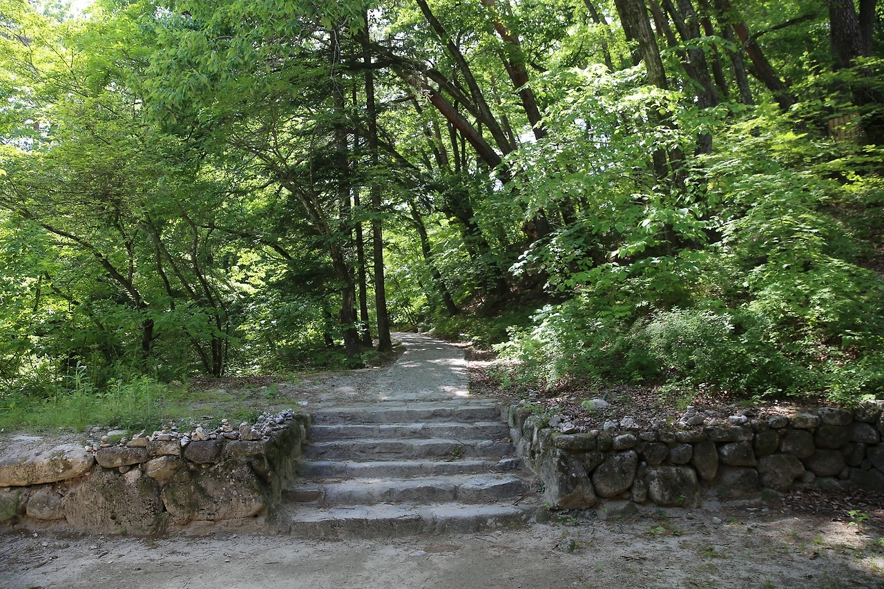 MG0A9374_новый размер.JPG