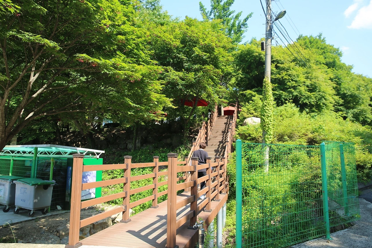 MG0A1539_новый размер.JPG